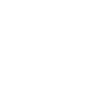 BTG-betbdt